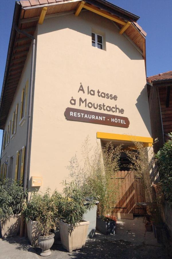Hotel A La Tasse A Moustache Thonon-les-Bains Exteriér fotografie